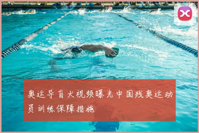 奥运导盲犬视频曝光中国残奥运动员训练保障措施