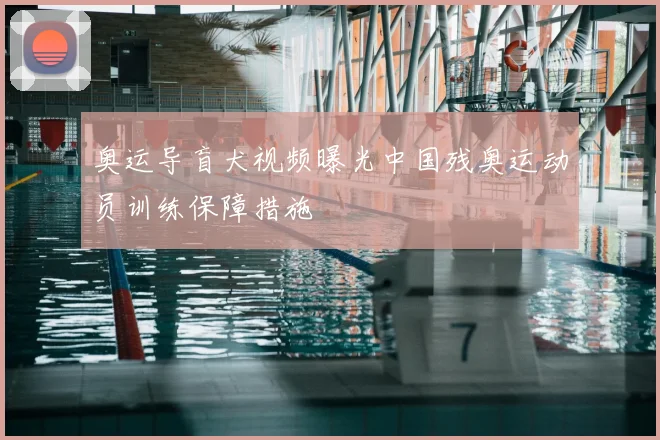 奥运导盲犬视频曝光中国残奥运动员训练保障措施