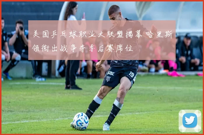 美国乒乓球职业大联盟揭幕 哈里斯领衔出战争夺季后赛席位