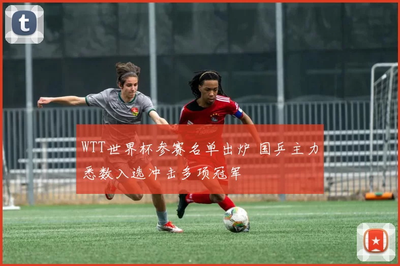 WTT世界杯参赛名单出炉 国乒主力悉数入选冲击多项冠军
