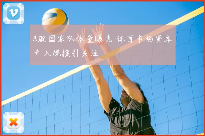 A股国家队体量曝光 体育市场资本介入规模引关注