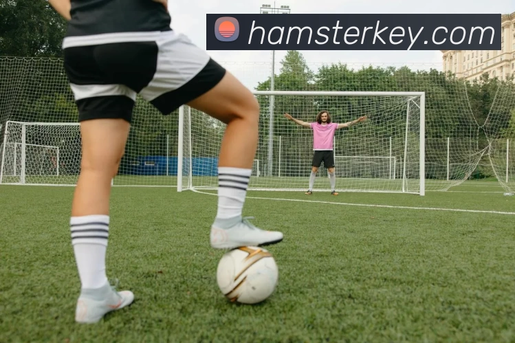 米兰官网手机版平台生态图