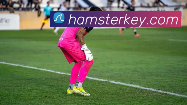 米兰官网手机版APP 封面图